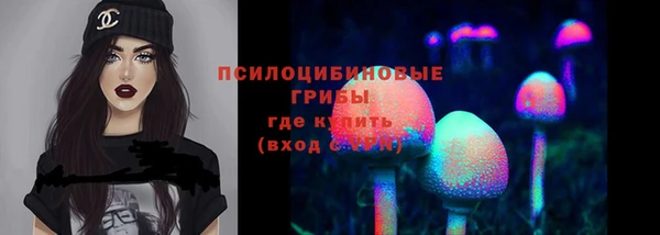 героин Алексин