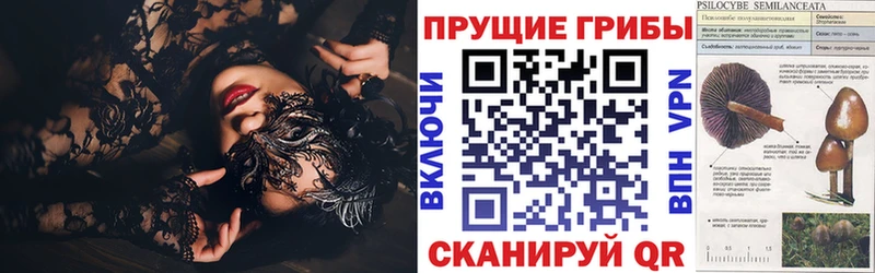 хочу   Болхов  Галлюциногенные грибы Cubensis 