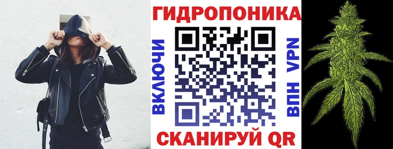 Бошки марихуана Amnesia Болхов